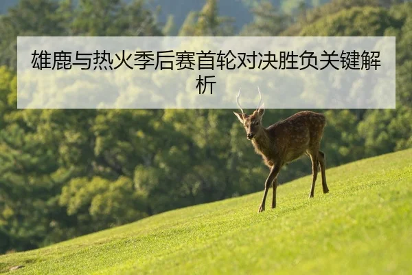 雄鹿与热火季后赛首轮对决胜负关键解析